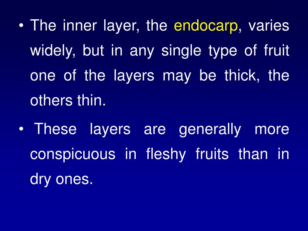 PPT The Fruits PowerPoint Presentation, free download ID4123368