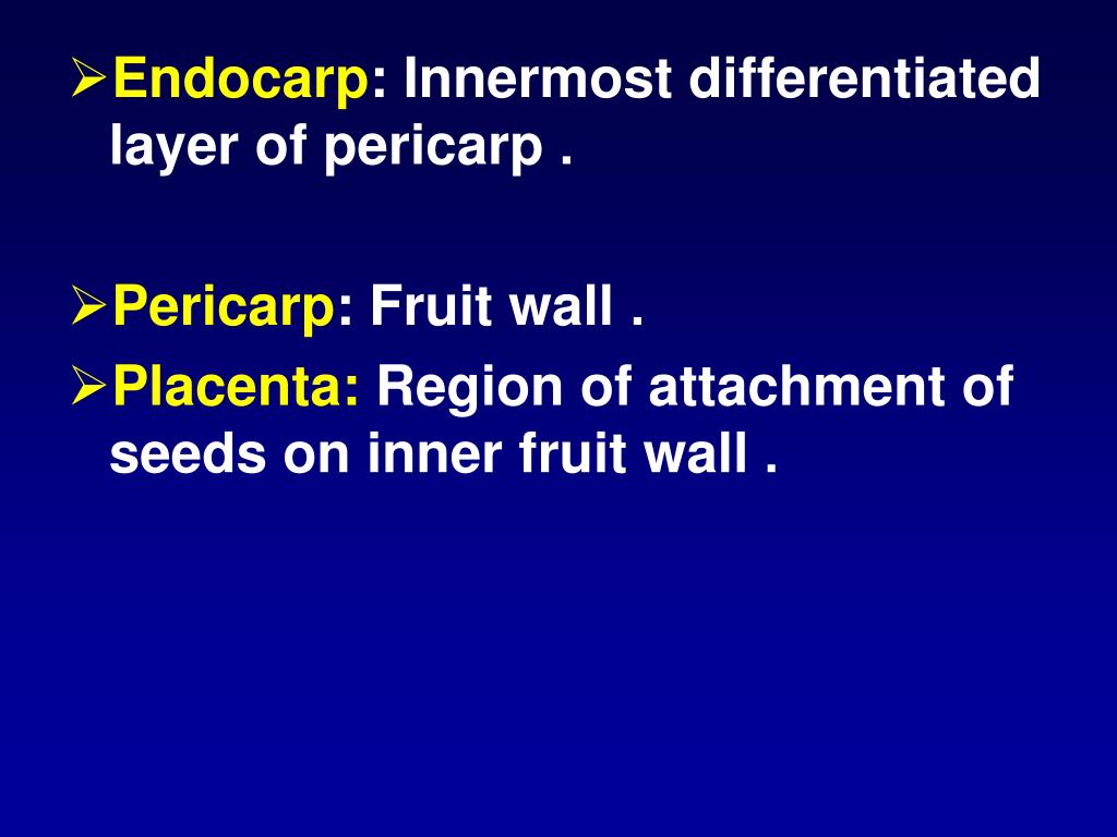 PPT The Fruits PowerPoint Presentation, free download ID4123368