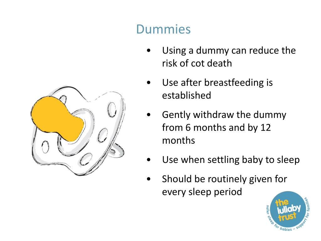 PPT The Lullaby Trust PowerPoint Presentation, free download ID4124036