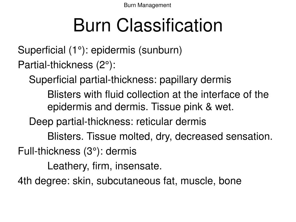 PPT Burn Management PowerPoint Presentation, free download ID4127623