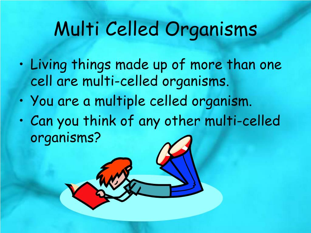 PPT Multi and Single Celled Organisms PowerPoint Presentation, free download ID4132586