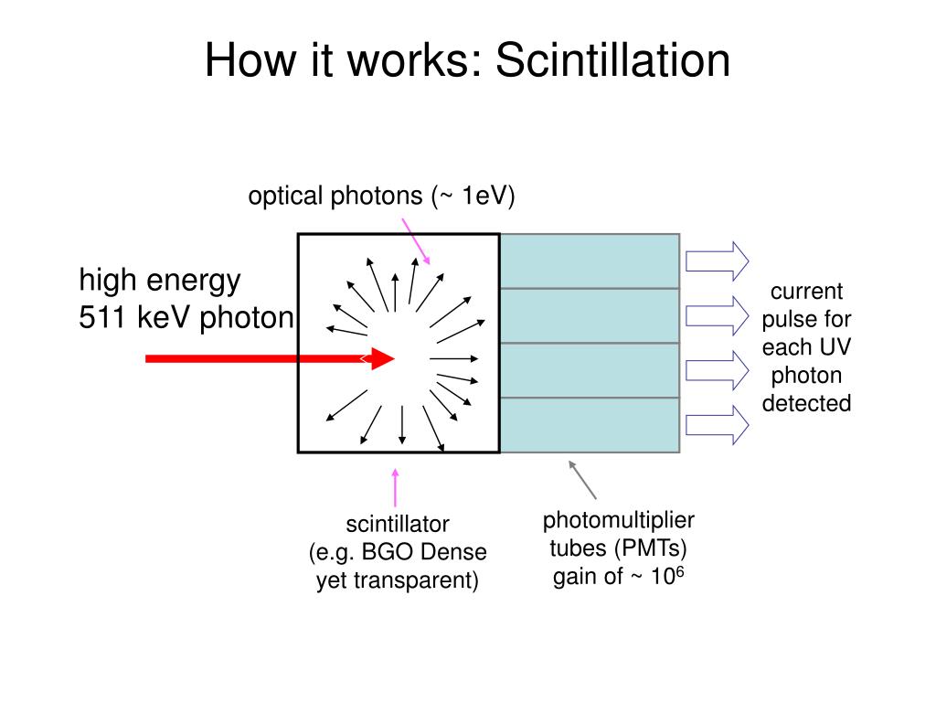 PPT Multimodality PET/CT Imaging PowerPoint Presentation, free