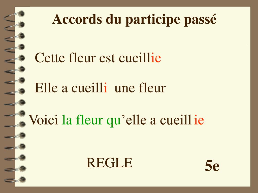Retour Sur L Accord Du Participe Passã â Et Autres Bizarreries De.