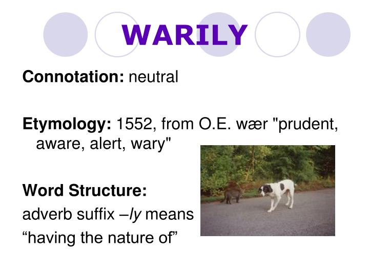 PPT Level E Unit 1 Vocabulary PowerPoint Presentation ID4135162