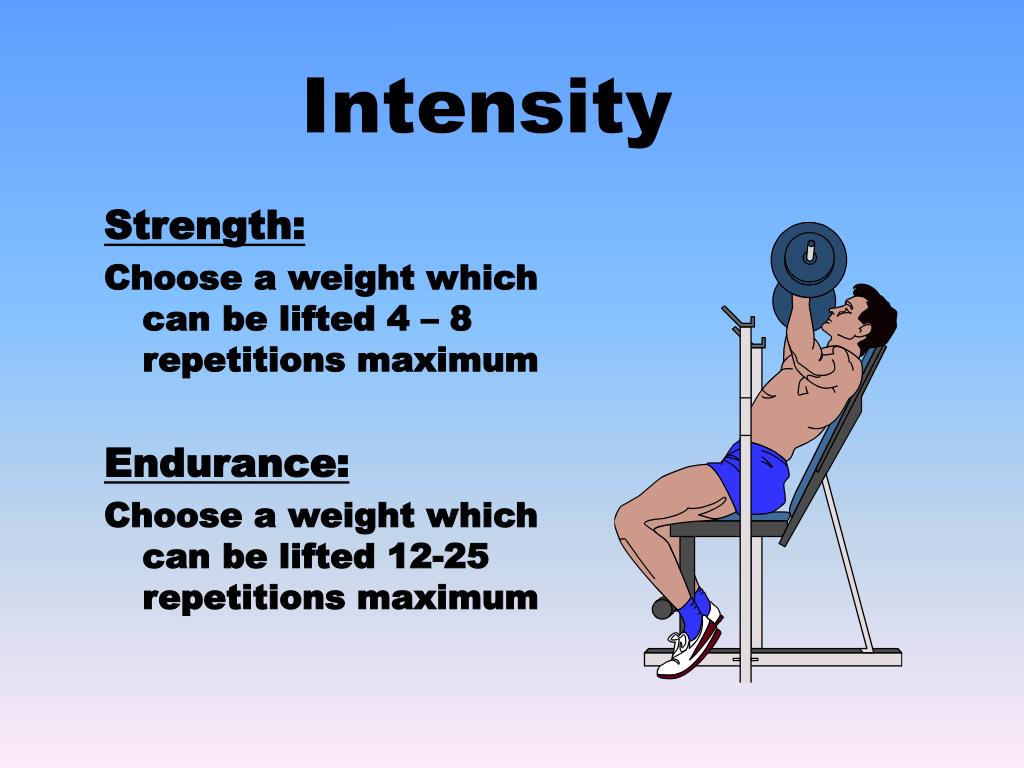 PPT Muscle Endurance and Muscle Strength PowerPoint Presentation