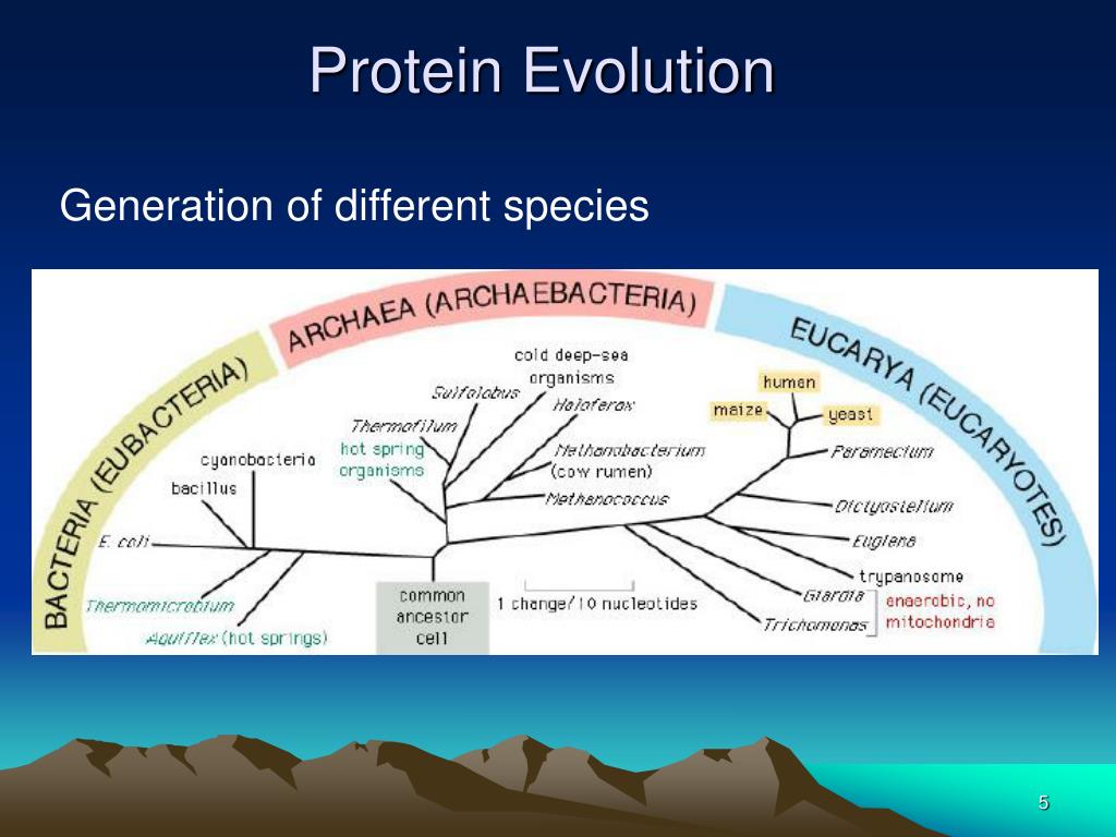PPT Protein Evolution SARS coronavirus as an example PowerPoint
