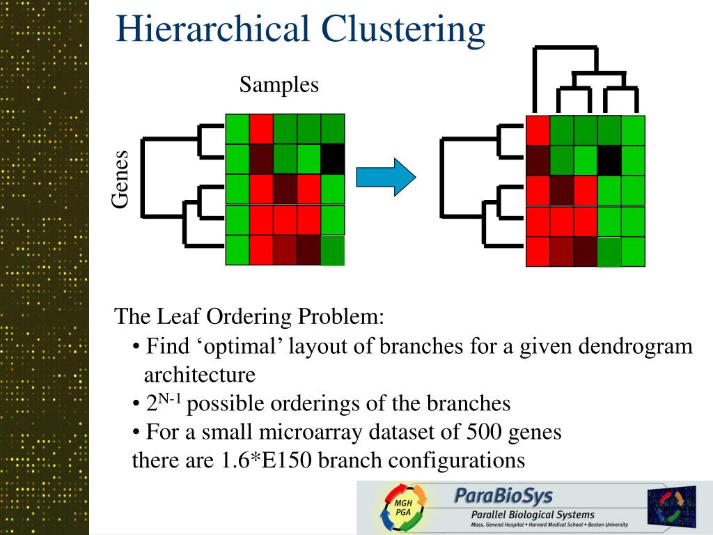 PPT Making Sense of Complicated Microarray Data Part II Gene