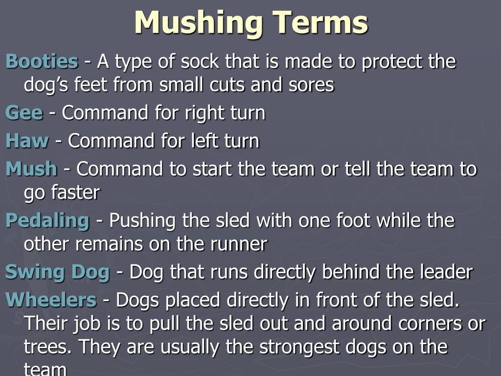 PPT The Iditarod PowerPoint Presentation, free download ID4141483