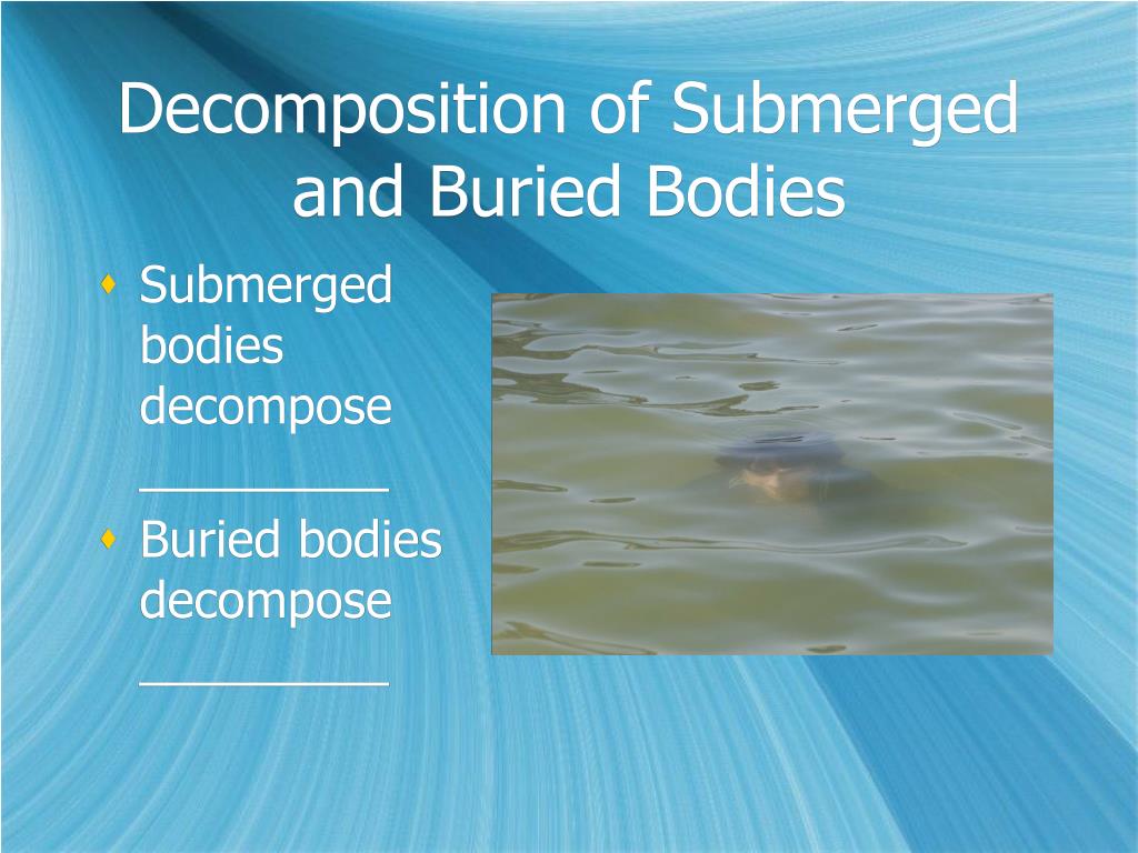 PPT Body Tissues and PowerPoint Presentation, free