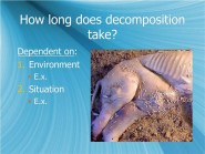  Decomposition Adalah Konsep Penting Dalam Pengelolaan Sisa Organik
