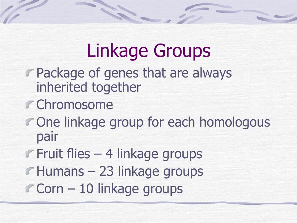 PPT Chapter 10 PowerPoint Presentation, free download ID4145586