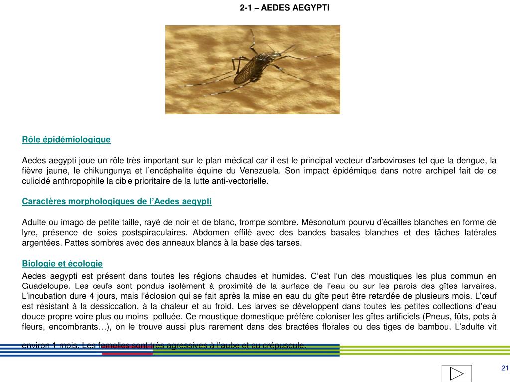 PPT Katia Faure Service LAV ARS 971 PowerPoint Presentation, free