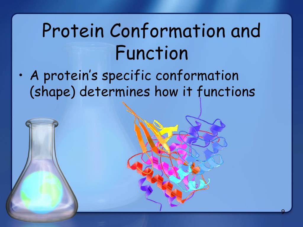 PPT Proteins PowerPoint Presentation, free download ID4151054