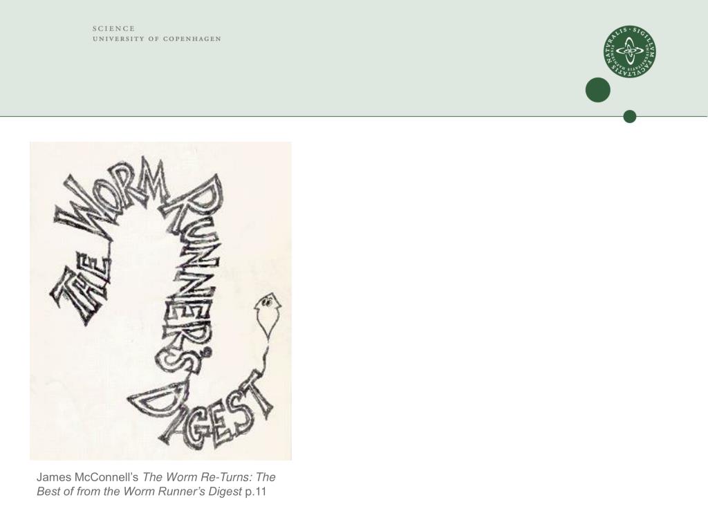 PPT The role of Experiment in scientific research PowerPoint