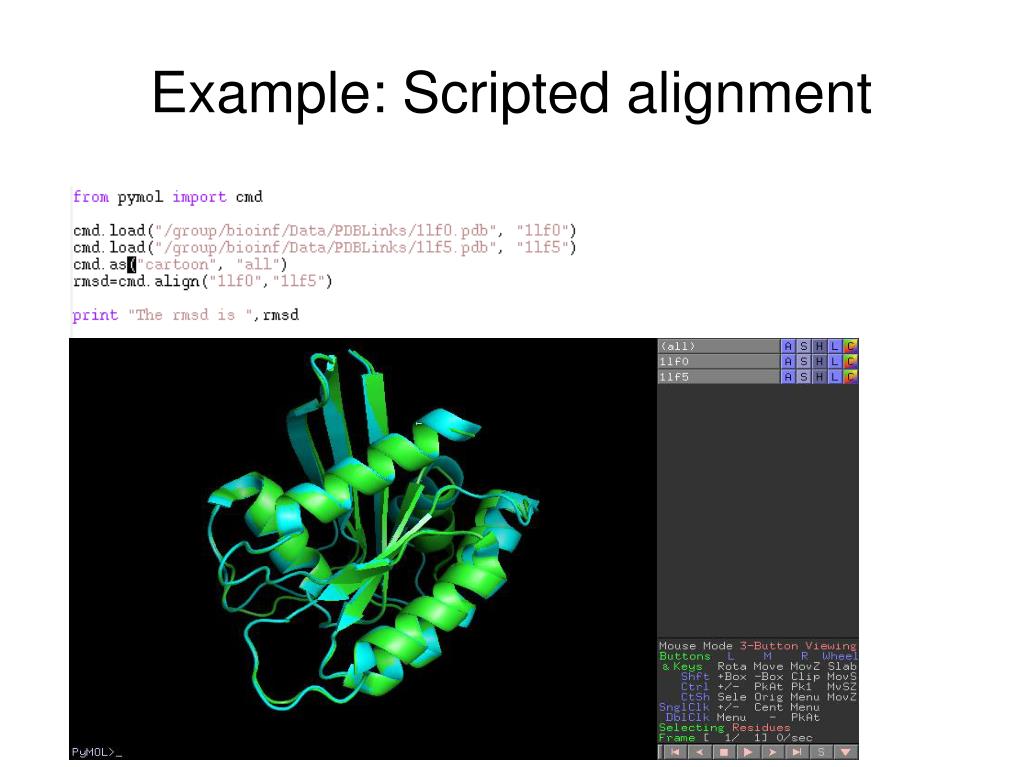 PPT Python + PyMOL PowerPoint Presentation, free download ID4156395