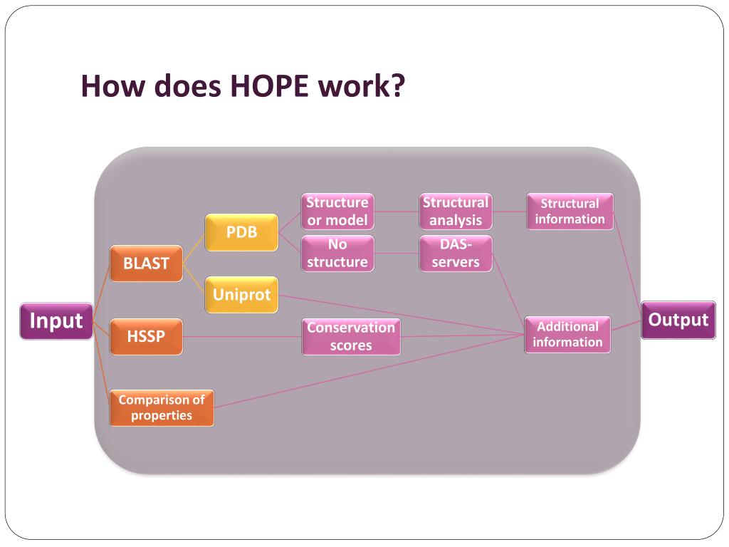 PPT Marlou Snelleman 2011 PowerPoint Presentation, free download ID