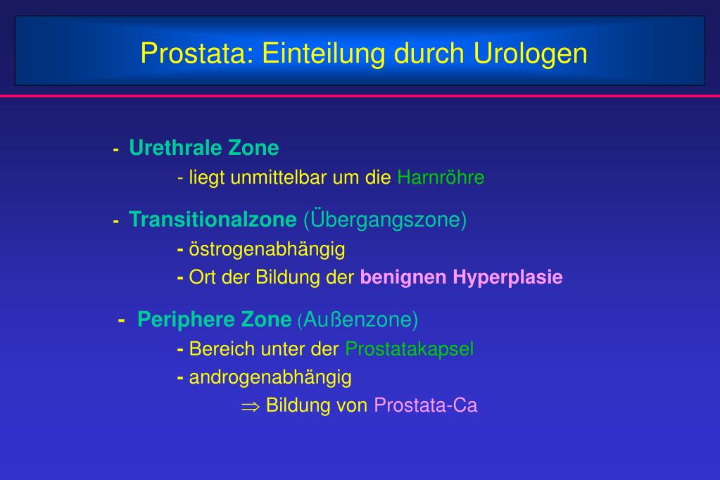 PPT Hoden Form und Funktionen PowerPoint Presentation, free download