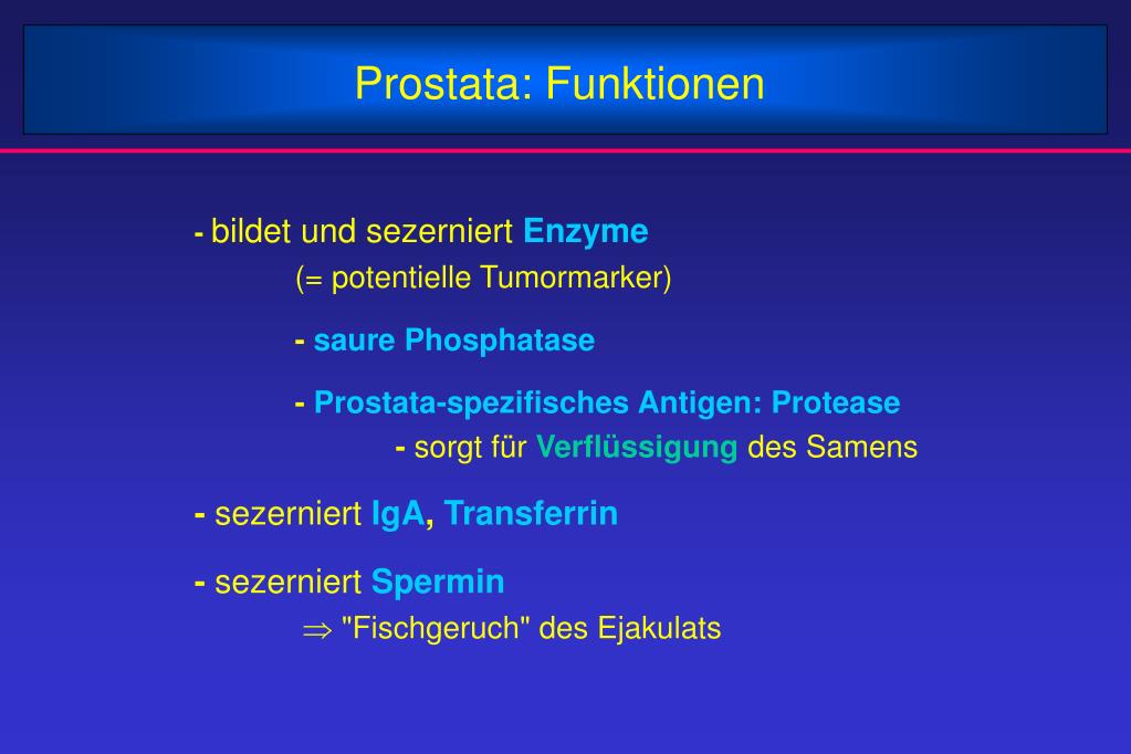 PPT Hoden Form und Funktionen PowerPoint Presentation, free download