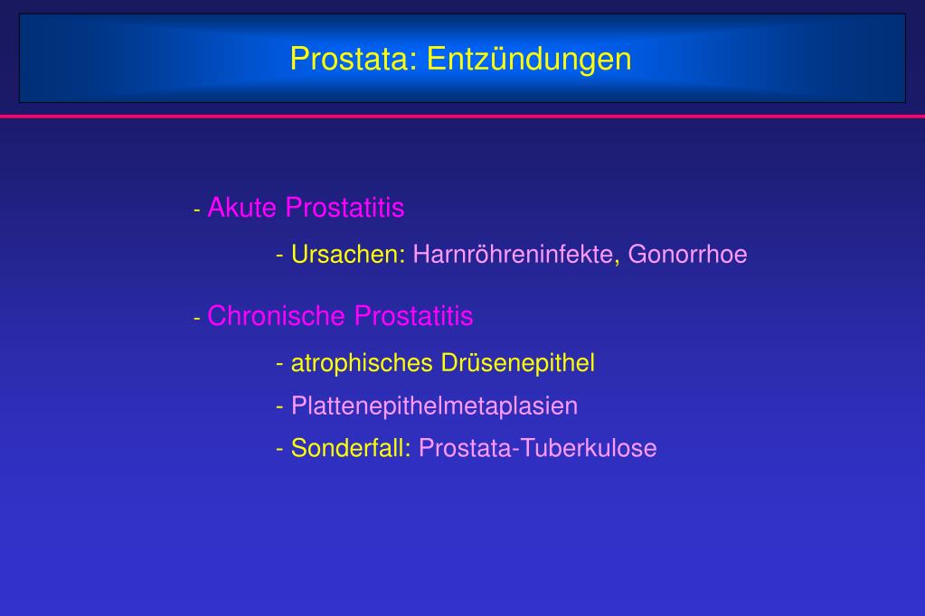 PPT Hoden Form und Funktionen PowerPoint Presentation, free download