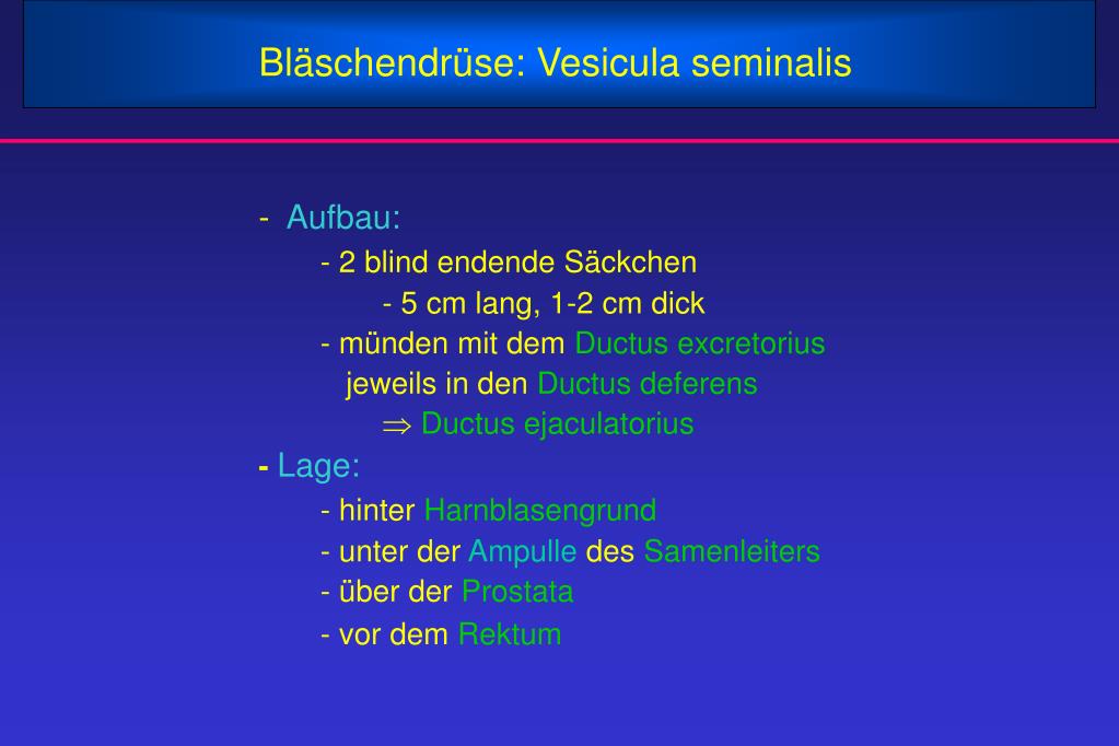 PPT Hoden Form und Funktionen PowerPoint Presentation, free download
