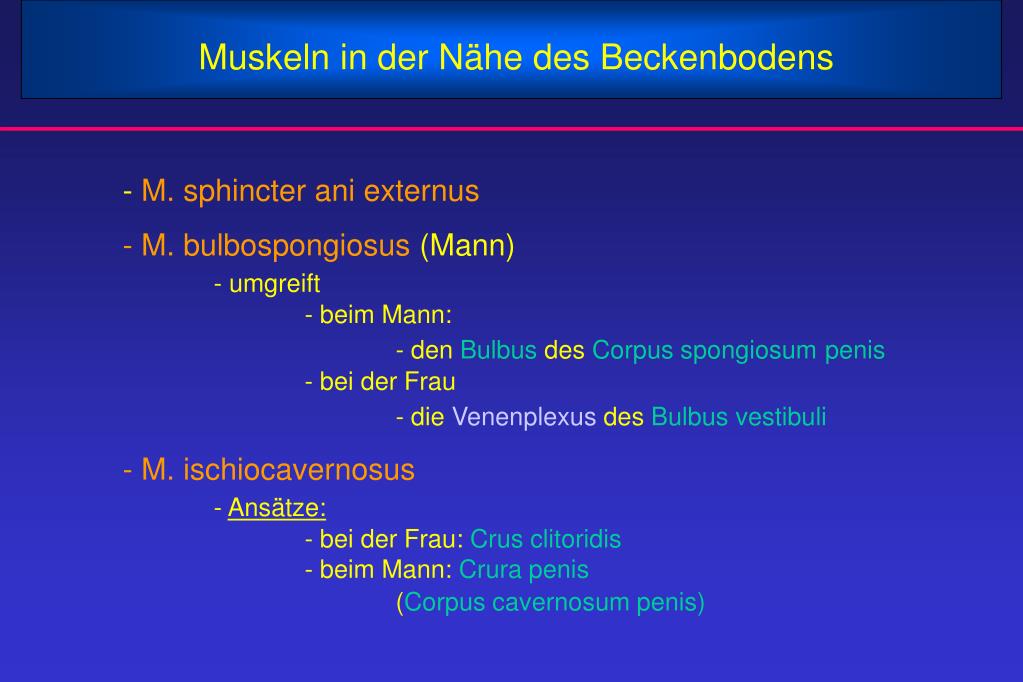 PPT Hoden Form und Funktionen PowerPoint Presentation, free download