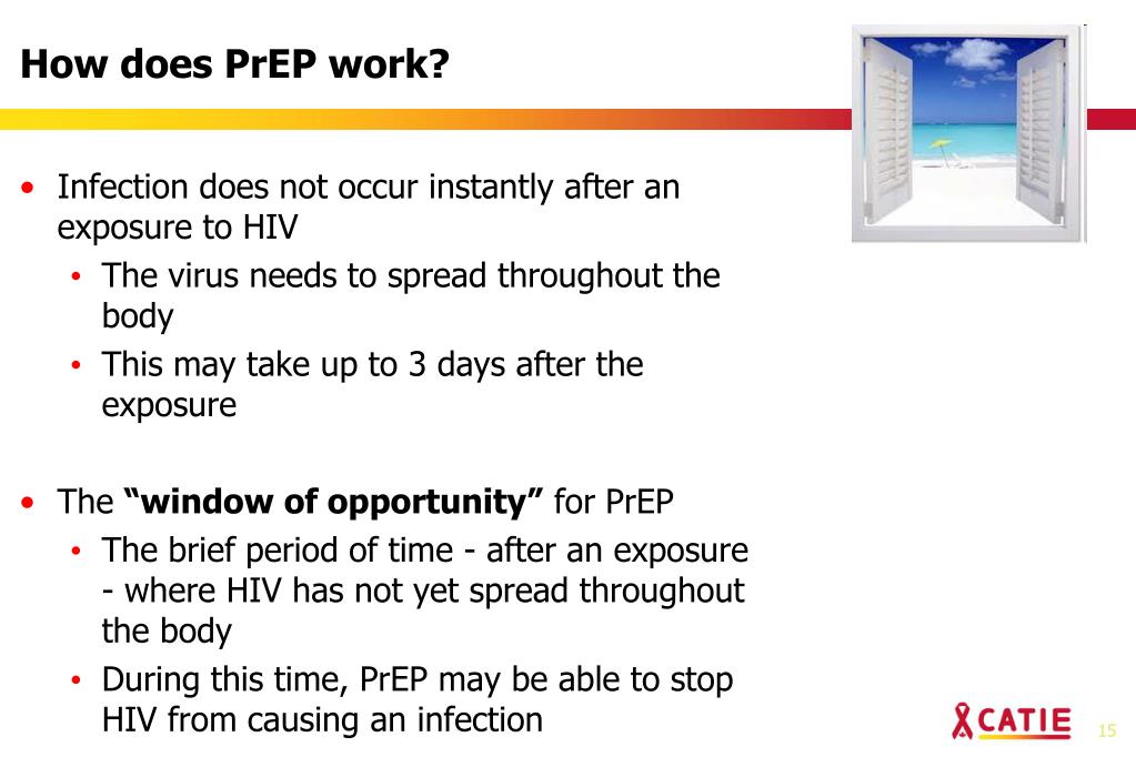 PPT MSM PowerPoint Presentation, free download ID4159675