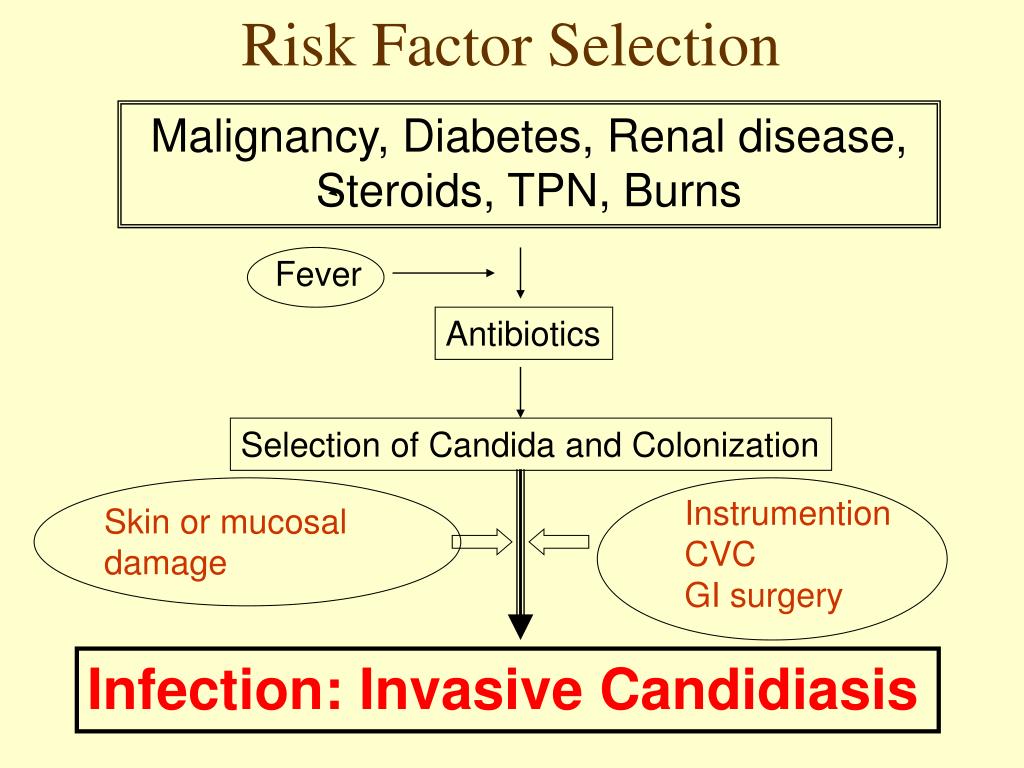 PPT Invasive Fungal Infections in Critically Ill Patients PowerPoint