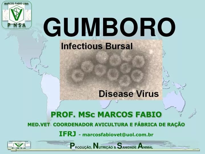 PPT GUMBORO PowerPoint Presentation, free download ID4166359