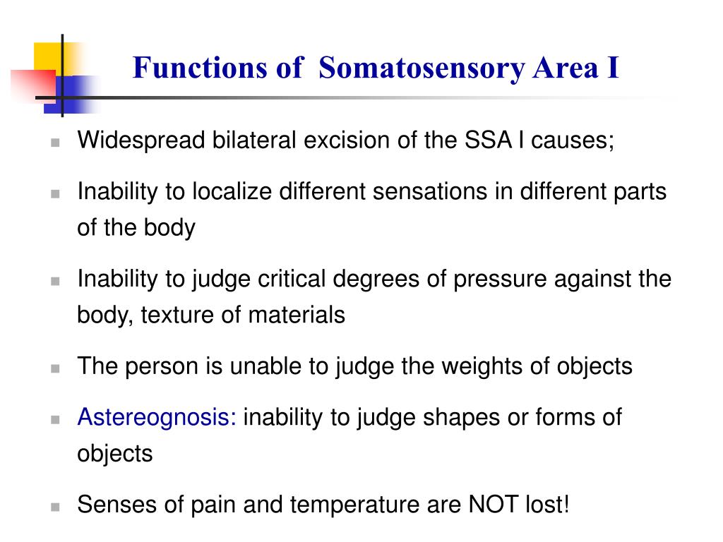 PPT Somatic Sensations I General Organization, the Tactile and