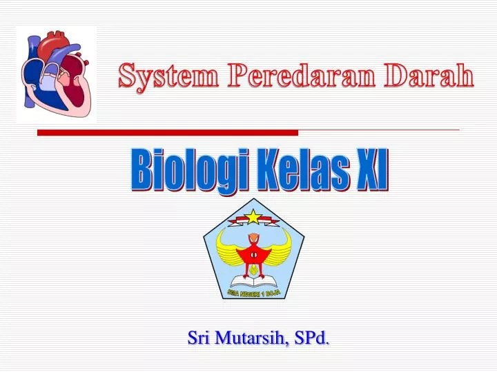 PPT Biologi Kelas XI PowerPoint Presentation, free download ID4173793