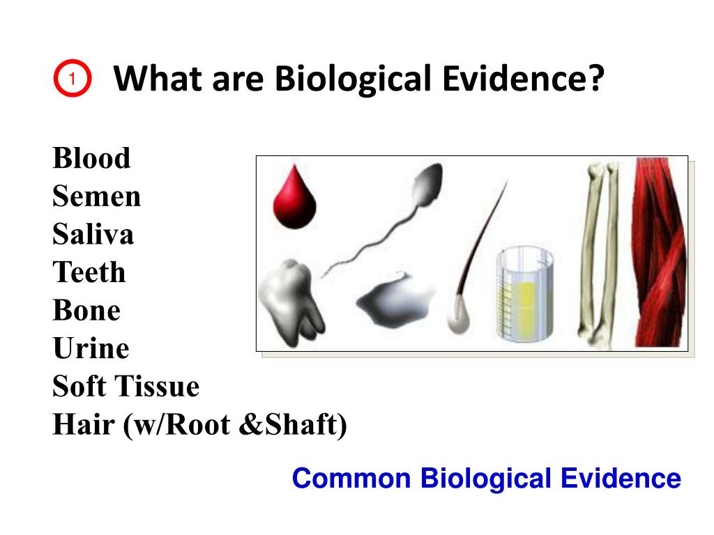 PPT Individual Identification PowerPoint Presentation, free download ID4176610