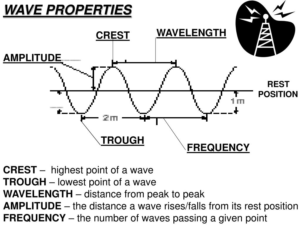 PPT WAVES CARRY ENERGY! Waves are rhythmic disturbances that carry