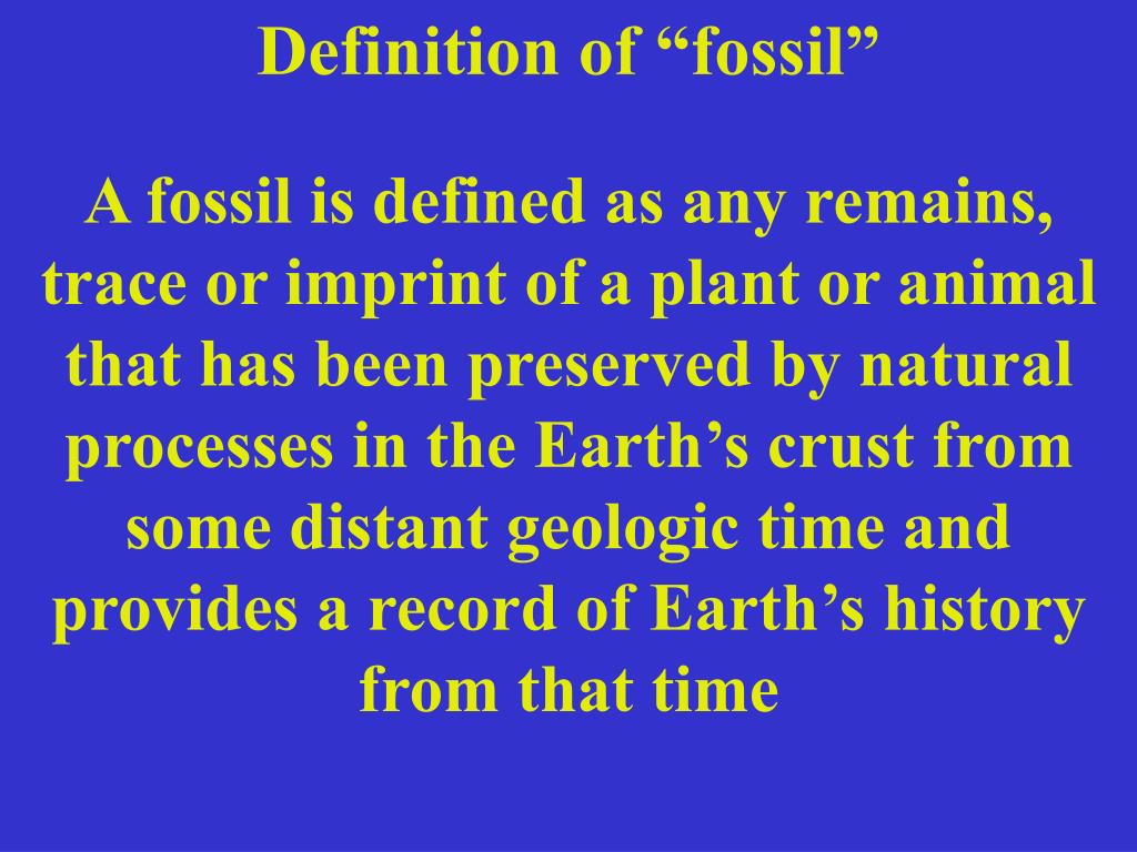 PPT Definition of “fossil” PowerPoint Presentation, free download