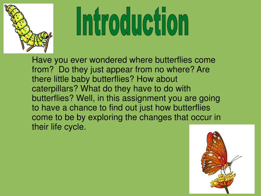 PPT Butterfly Life Cycle PowerPoint Presentation, free download ID