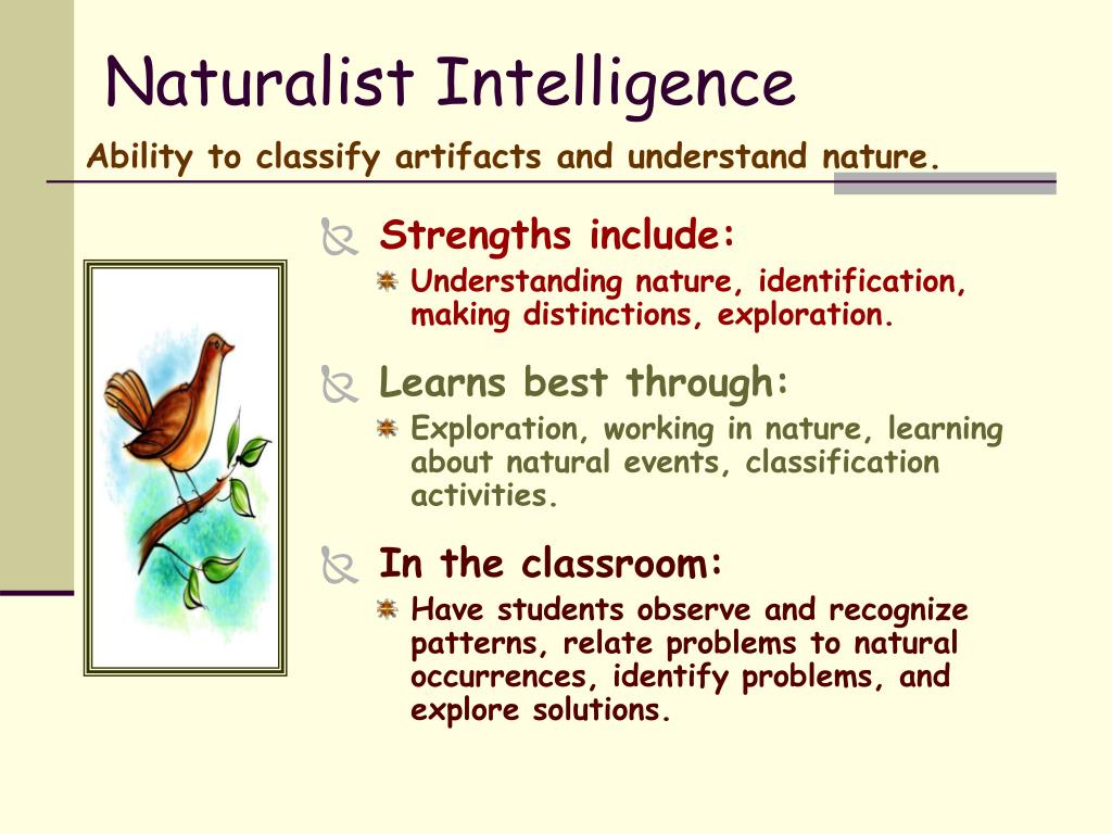 Sakuradream Naturalistic Natural Intelligence