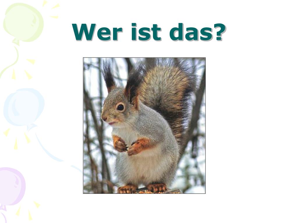 PPT Meine Lieblingstiere PowerPoint Presentation, free download ID