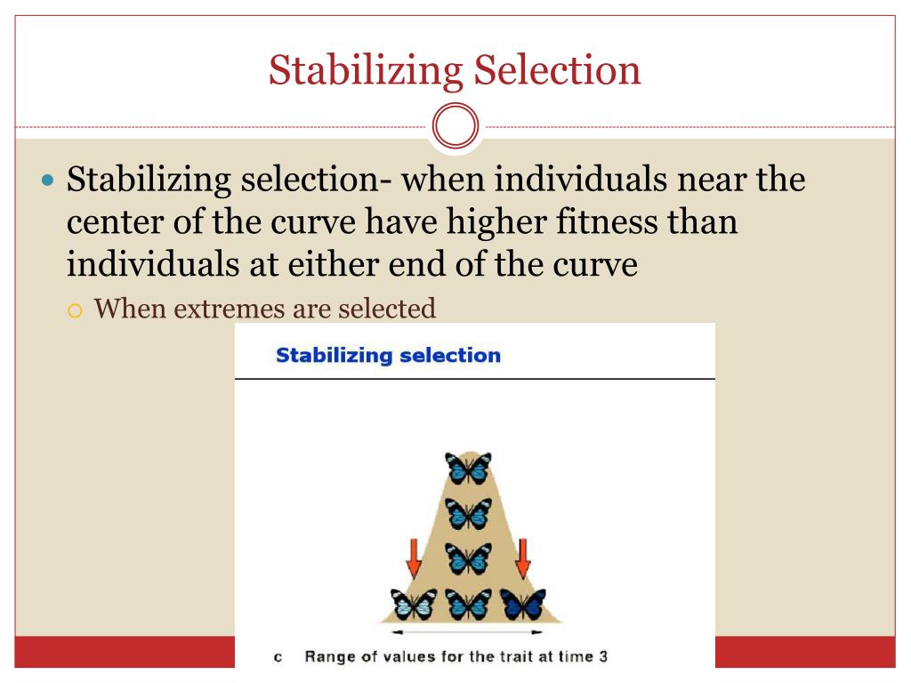 PPT Evolution and Speciation PowerPoint Presentation, free download