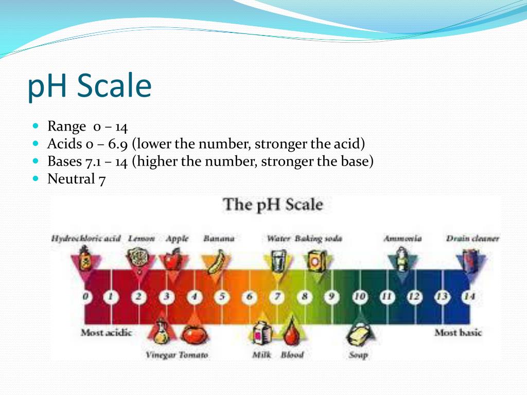 PPT Acids/Bases and the pH Scale PowerPoint Presentation, free