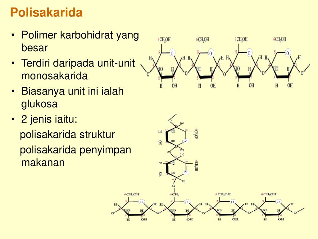 PPT Monosakarida dan Karbohidrat PowerPoint Presentation, free