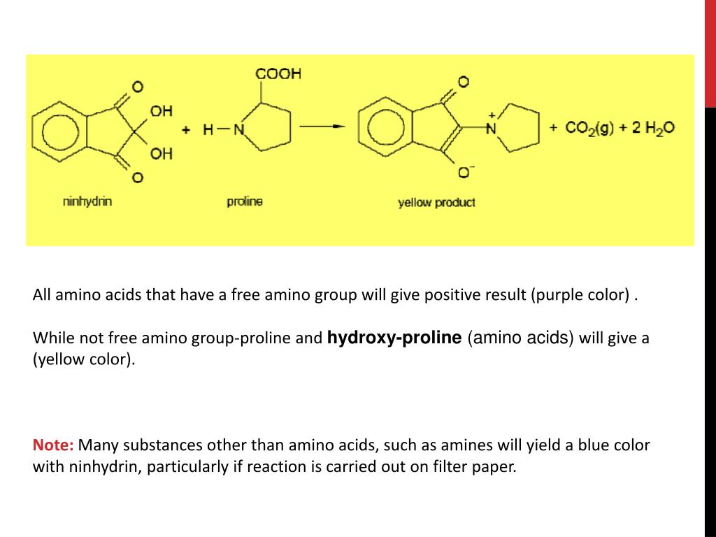 PPT AMINO ACIDS [QUALITATIVE TESTS] PowerPoint Presentation, free