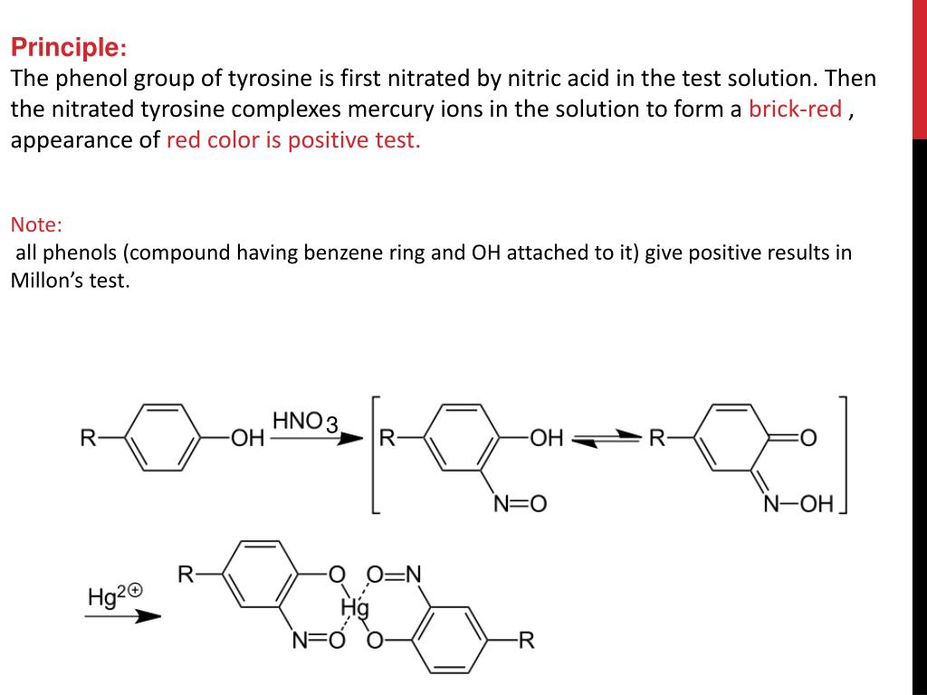 PPT AMINO ACIDS [QUALITATIVE TESTS] PowerPoint Presentation, free download ID4198148