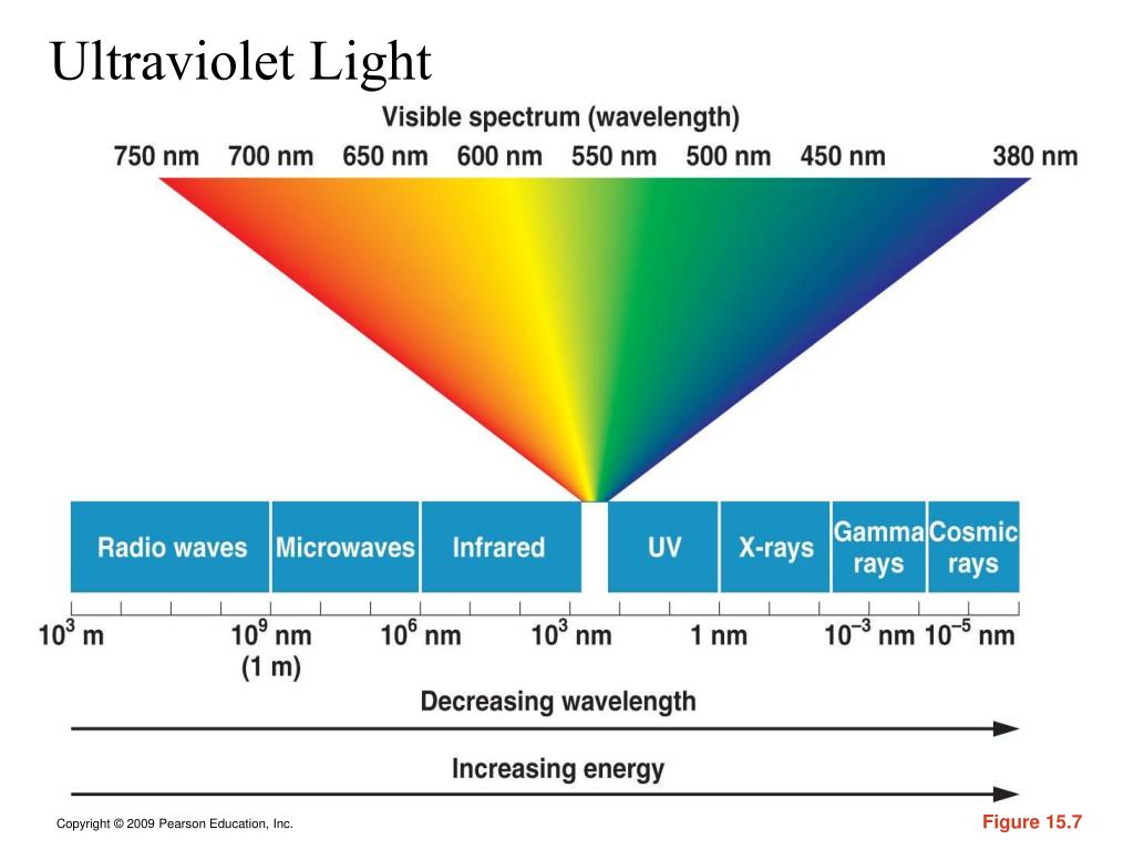 PPT Gene Mutation, DNA Repair, and Transposition PowerPoint