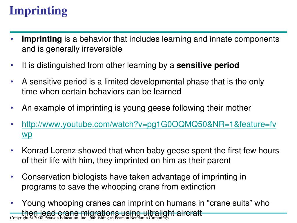 PPT Chapter 34 Animal Behavior PowerPoint Presentation, free download