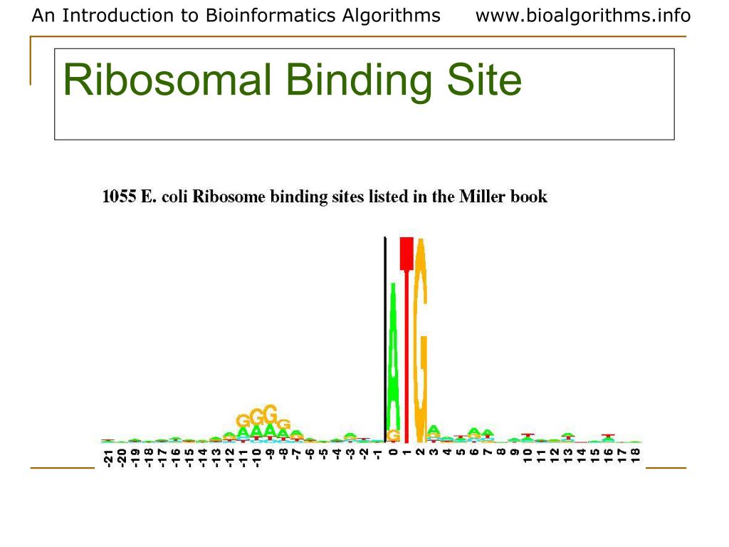 PPT Gene Prediction Statistical Approaches PowerPoint Presentation