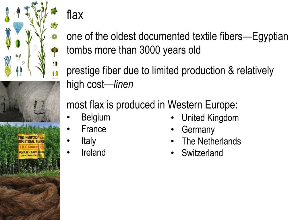 PPT FASH 15 textiles bast fibers PowerPoint Presentation, free