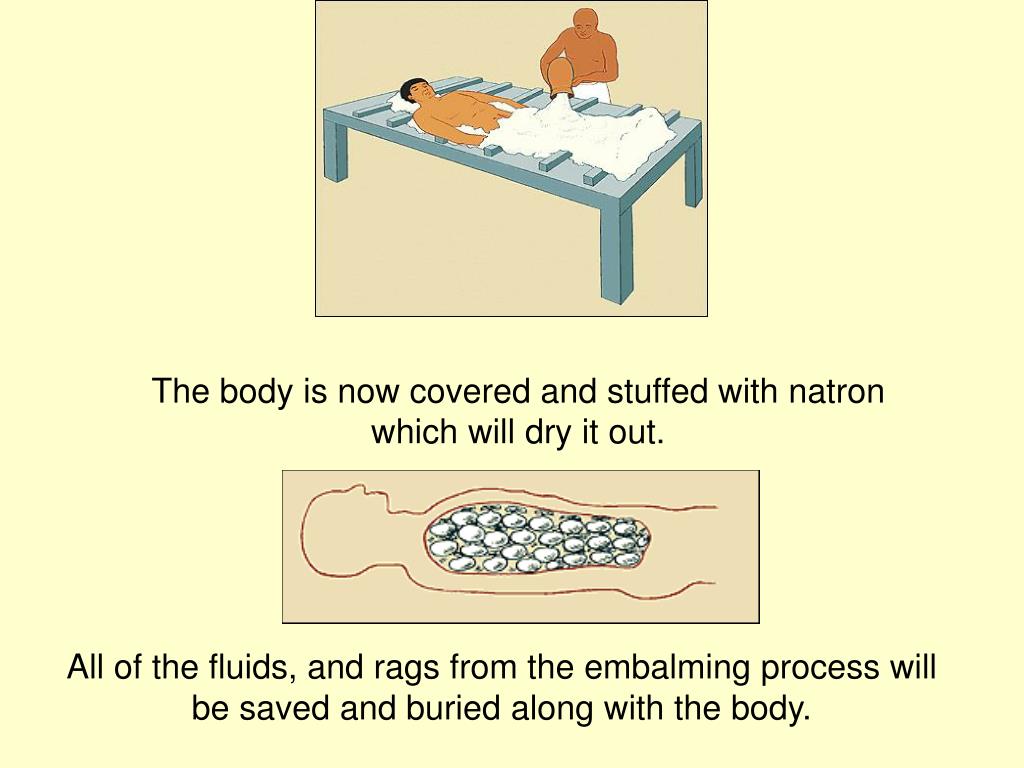 PPT The Mummification Process PowerPoint Presentation