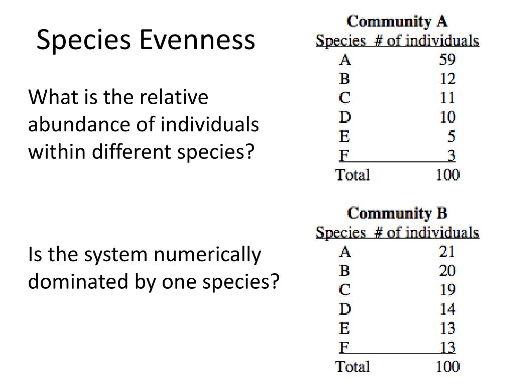 PPT Lecture 3.4 M easuring Biodiversity PowerPoint Presentation