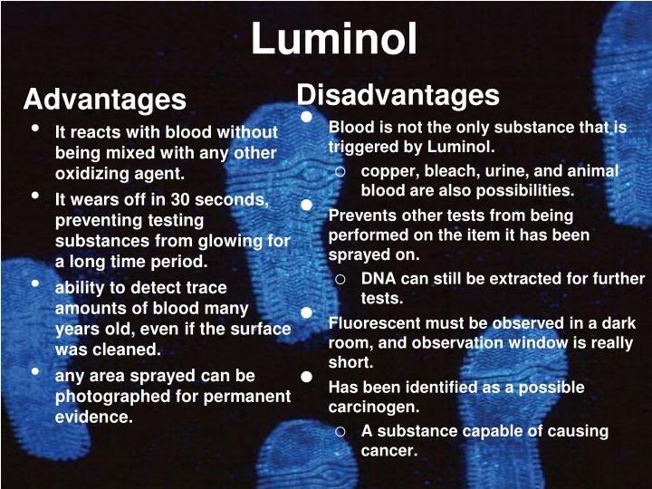 PPT LUMINOL & BLUESTAR PowerPoint Presentation ID4209844