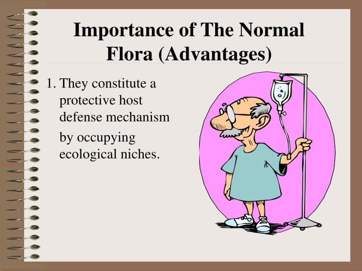 PPT Normal Flora PowerPoint Presentation ID4214563