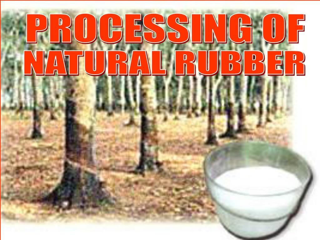 PPT PROCESSING OF PowerPoint Presentation, free download ID4224206